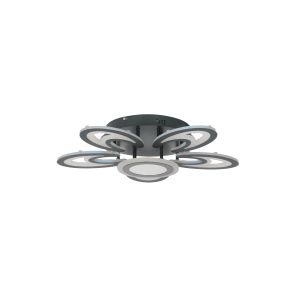 S2313/5+1 Плафон Black