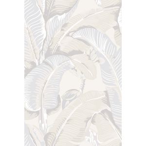 26009 Wallpaper Scalamandre