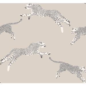 26022 Wallpaper Scalamandre