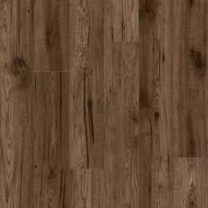 Laminate 2854 8мм Premium V4