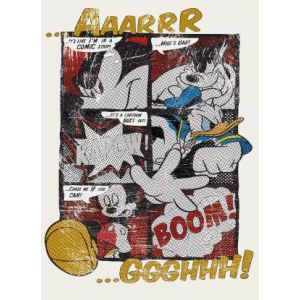 4-421 Фототапет Mickey's Great Escape