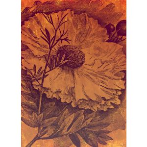 INX4-031 Фототапет Harvest