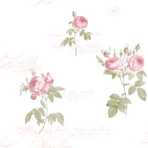 CG28820 Wallpaper vinyl Rose Garden