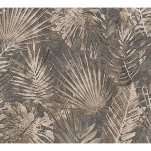 386383 Wallpaper  Natural Living