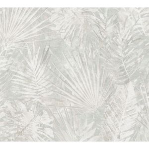 386384 Wallpaper  Natural Living