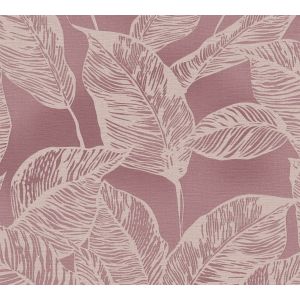 386634 Wallpaper  Natural Living