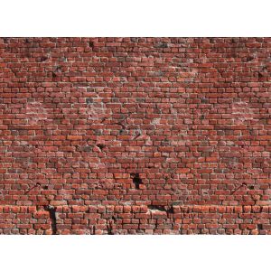118784 Фототапет Brick Red