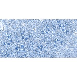 6034A-VD5 Фототапет Suprabatic 