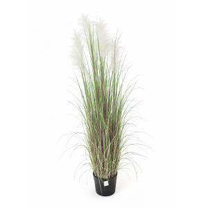 G25-65/64 Artificial Plant Pampas Grass