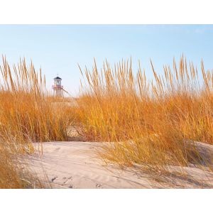 403703 Фототапет Tejo