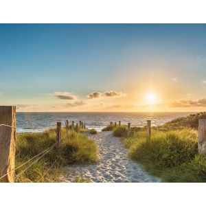 403704 Фототапет Tejo