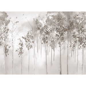 41010 Photomural JV202 Murals Decor