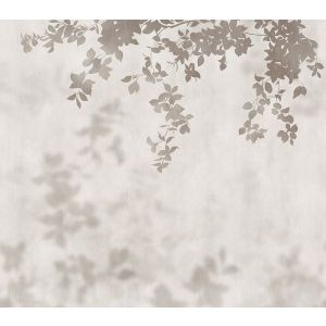 41280 Фототапет JV202 Murals Decor