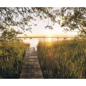 SH076-VD4 Фототапет Smooth