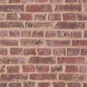 51151008 Тапет Хартия Reality 4