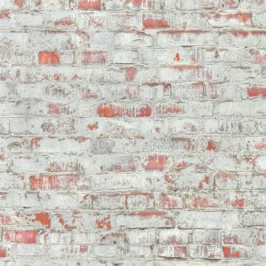 51182005 Wallpaper Reality 4