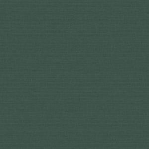 51233124 Тапет Винил Abaca