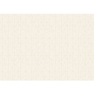 5713 Тапет Винил JV902 Genesi