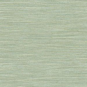 5896 Vinyl Wallpaper Pigmenta
