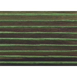 6082 Тапет бамбук JV451 Yumiko