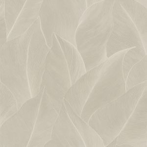 66320 Wallpaper Essence