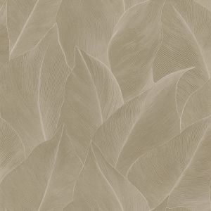 66321 Wallpaper Essence