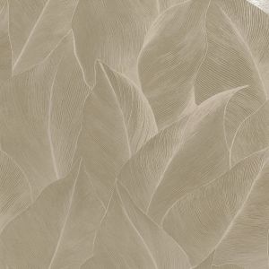92021 Wallpaper Wanderlust
