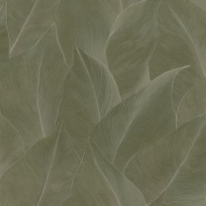 66322 Wallpaper Essence
