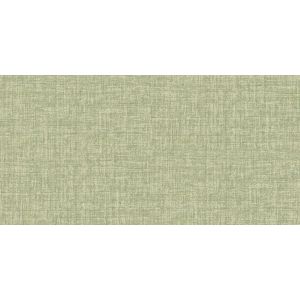 6695 Vinyl Wallpaper Pigmenta