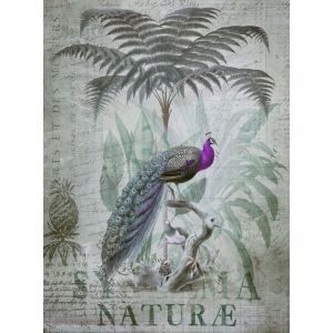 DD119709 Фототапет Artist