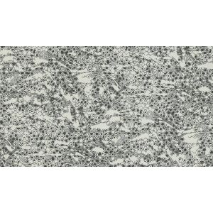 19035 Тапет винил Roberto Cavalli 8