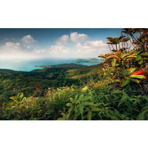 SHX9-043 Photomural Stefan Hefele 2