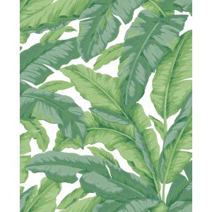 7227 Wallpaper JV505 Grande Cornice