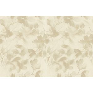 72954 Wallpaper Zen EP