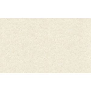 72968 Wallpaper Zen EP