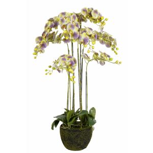 G23098-2 Изкуствено Цвете Зелена Орхидея