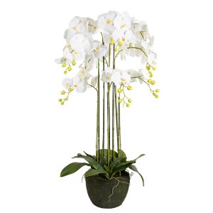 G230100-1 Изкуствено Цвете Бяла Орхидея