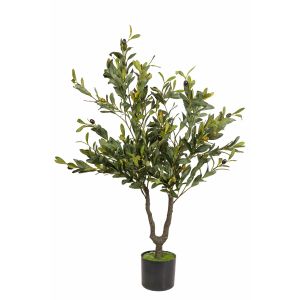 G230130/29/28/27 Маслиново Дърво Зелено