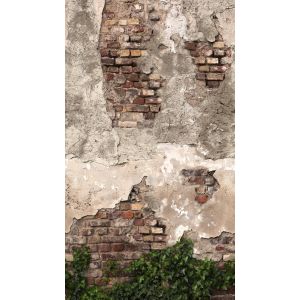 792267 Photomural The Wall 4 Vibes & Styles