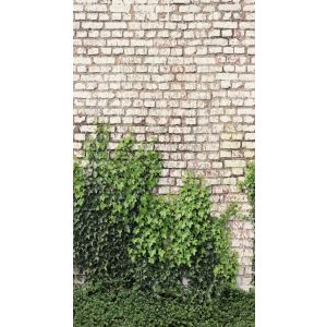 792268 Photomural The Wall 4 Vibes & Styles