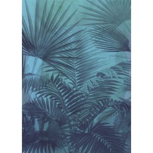 INX4-009 Фототапет Transparency