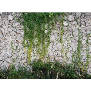 118793 Фототапет Stonewall