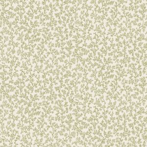 92040 Wallpaper Wanderlust
