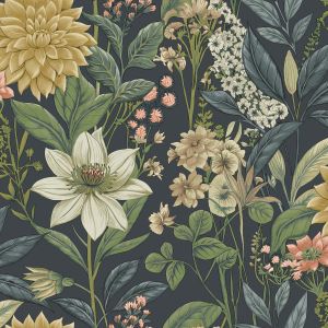 92062 Wallpaper Wanderlust