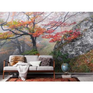 SH031-VD2 Фототапет Euphoria