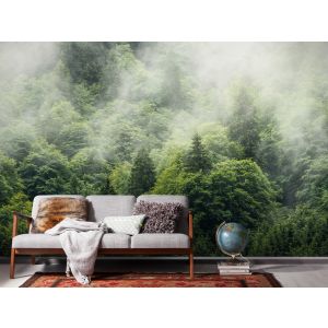 SH061-VD4 Фототапет Forest Land