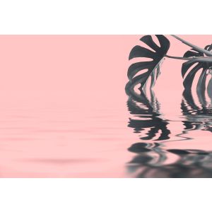 DD119781 Photomural Artist