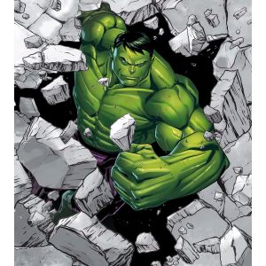 IADX5-060 фототапет Hulk Breaker