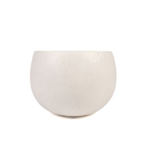 G25-172 Кашпа Бежова