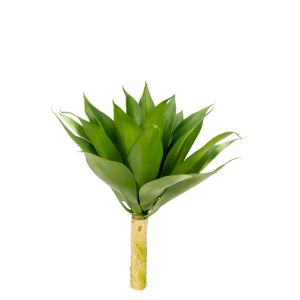 G25-43 Изкуствено Растениe Агаве